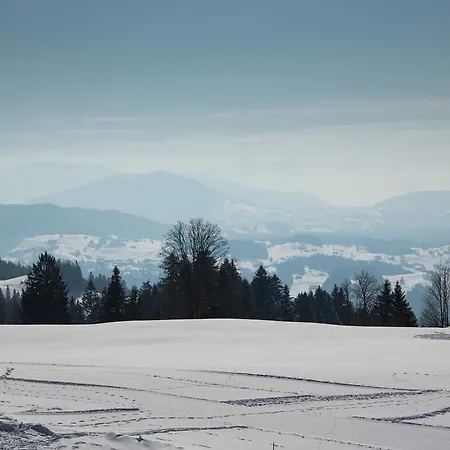Affittacamere Gasthof Hochlitten