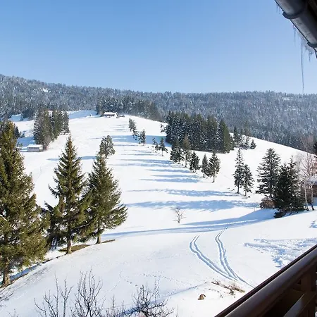 Konukevi Gasthof Hochlitten 2*